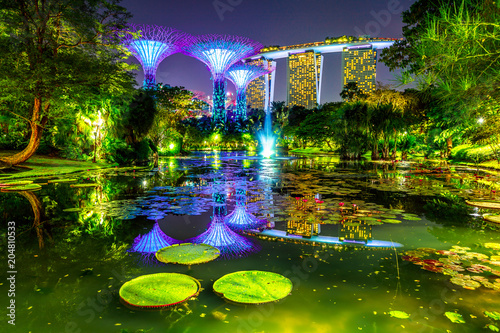 Spectacular skyline of Gardens by the Bay with blue and violet lighting and modern skyscraper reflecting in water lily pond by night. Marina bay area in Central Singapore, Southeast Asia.