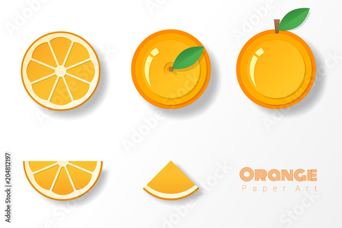 Set of oranges in paper art style , vector , illustration