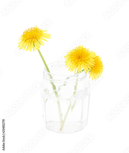 Fototapeta Naklejka Na Ścianę i Meble -  Dandelions flower in glass isolated on white background 