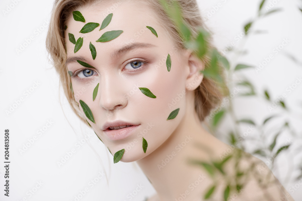 eucalyptus for skincare eucalyptus for skincare
