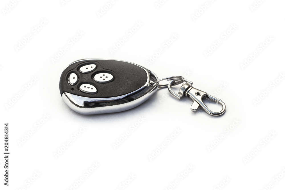 Electronic key ring Electronic key ring