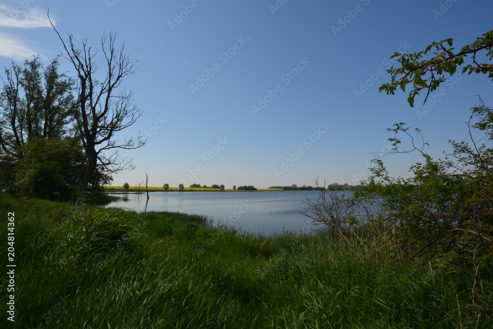 Mellnitz-Üselitzer Wiek auf Rügen Mellnitz-Üselitzer Wiek auf Rügen