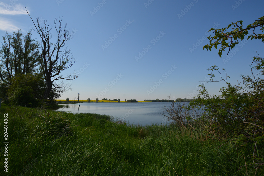 Mellnitz-Üselitzer Wiek auf Rügen