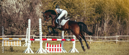 A woman jockey participates in competitions in equestrian sport, jumping.