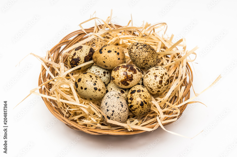 Obraz premium Quail eggs in nest isolated on white