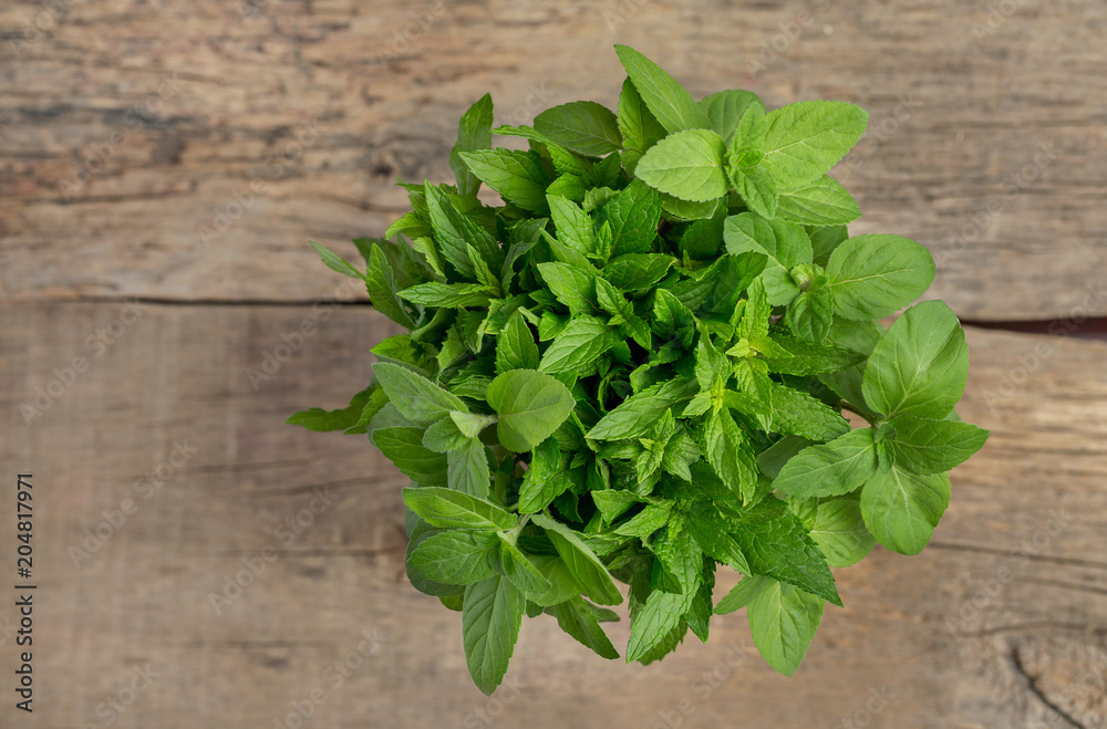 A bunch of mint on a wooden background A bunch of mint on a wooden background