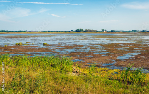Muddy Dutch nature reserve in summertime © Ruud Morijn