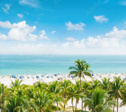 Landscape blue sky caribbean sea water palm trees beach Miami