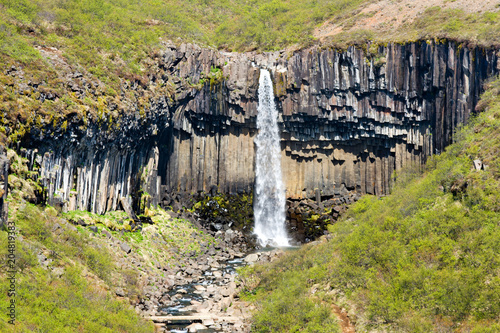 Svartifoss Waterfall In Iceland