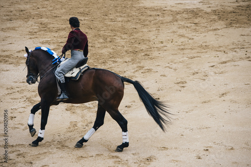 Corrida. Matador i koń walczą w typowej hiszpańskiej walce byków