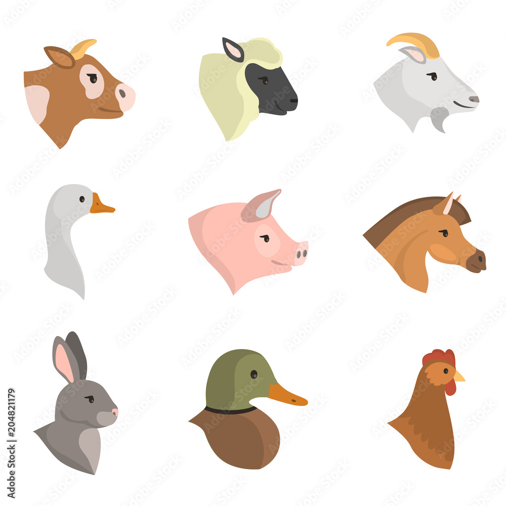 Cattle farm animal flat color icon set Cattle farm animal flat color icon set