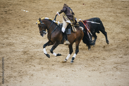 Corrida. Matador and horse Fighting in a typical Spanish Bullfight © karrastock