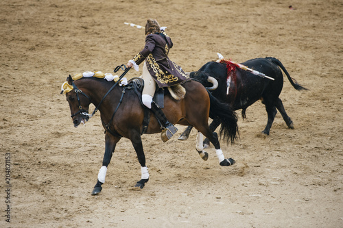 Fototapeta Naklejka Na Ścianę i Meble -  Corrida. Matador and horse Fighting in a typical Spanish Bullfight