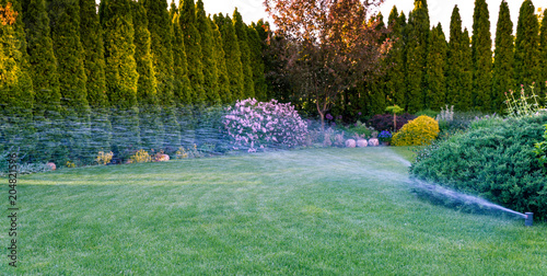 Irrigation of the green grass with sprinkler system.