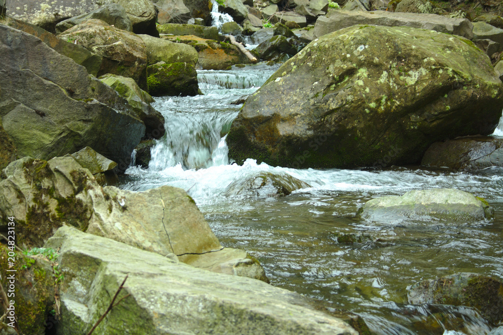 mountain river and lake in the forest, summer hiking trails mountain river and lake in the forest, summer hiking trails