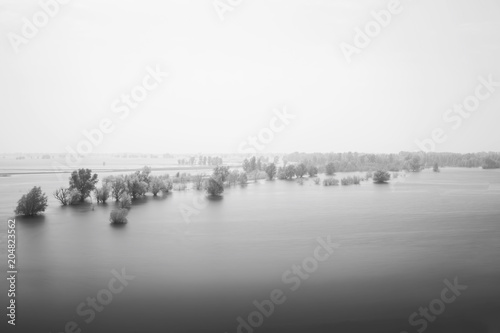 Landscape of natural flooding. Haze. Trees in the water. Black and white photo.
