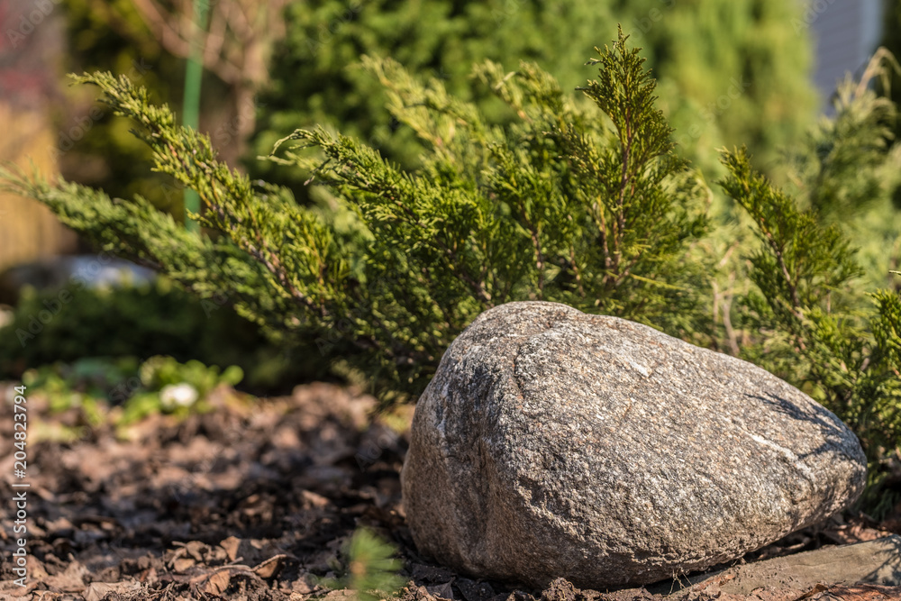 Branch of spruce on the background of stones Branch of spruce on the background of stones
