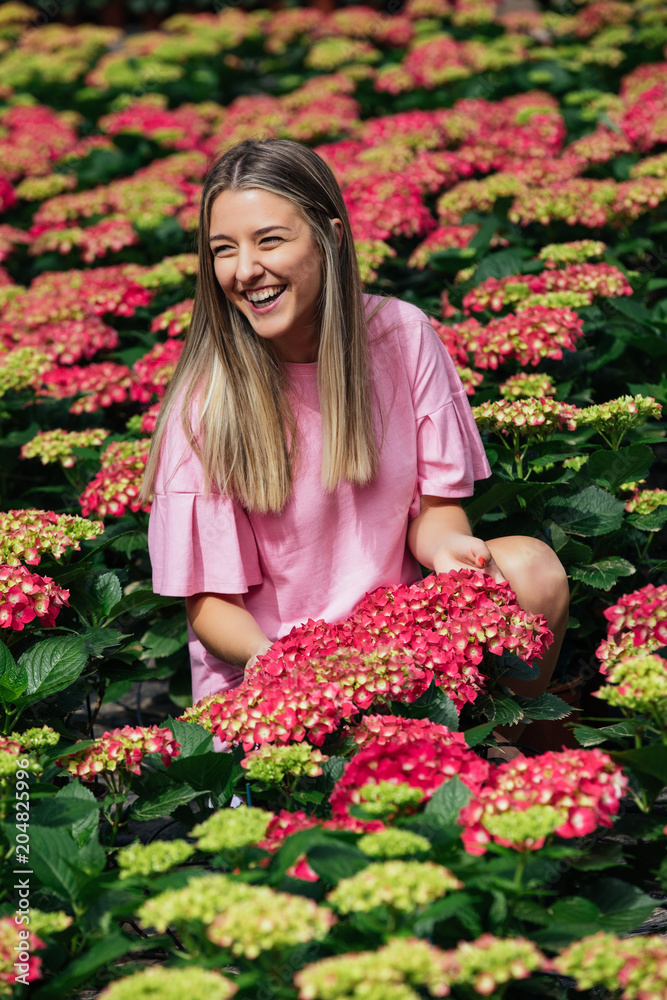 Beautiful young woman in a wonderful field of pink hydrangeas (Hortensia) production in a greenhouse