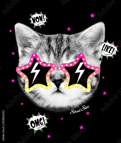 cool snd cute kitten