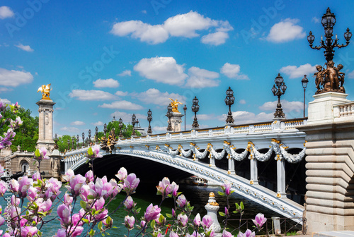 Bridge of Alexandre III in  Paris, France © neirfy