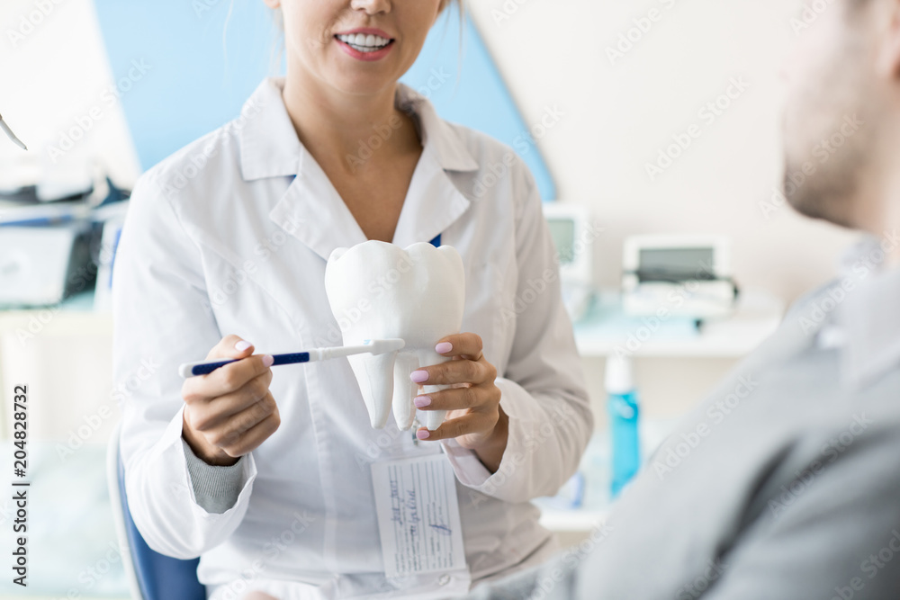 Mid section portrait of smiling female dentist holding tooth model and showing how to brush teeth to unrecognizable patient, copy space Mid section portrait of smiling female dentist holding tooth model and showing how to brush teeth to unrecognizable patient, copy space