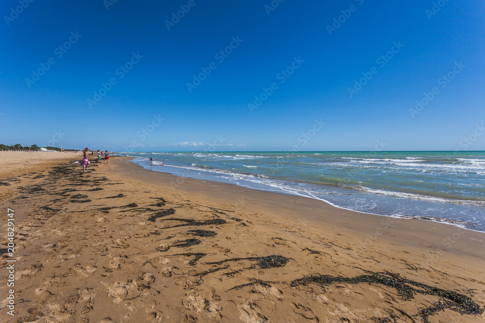 Tourists on a sandy beach with seaweed carried by the undertow, Bibione, Veneto, Italy Tourists on a sandy beach with seaweed carried by the undertow, Bibione, Veneto, Italy