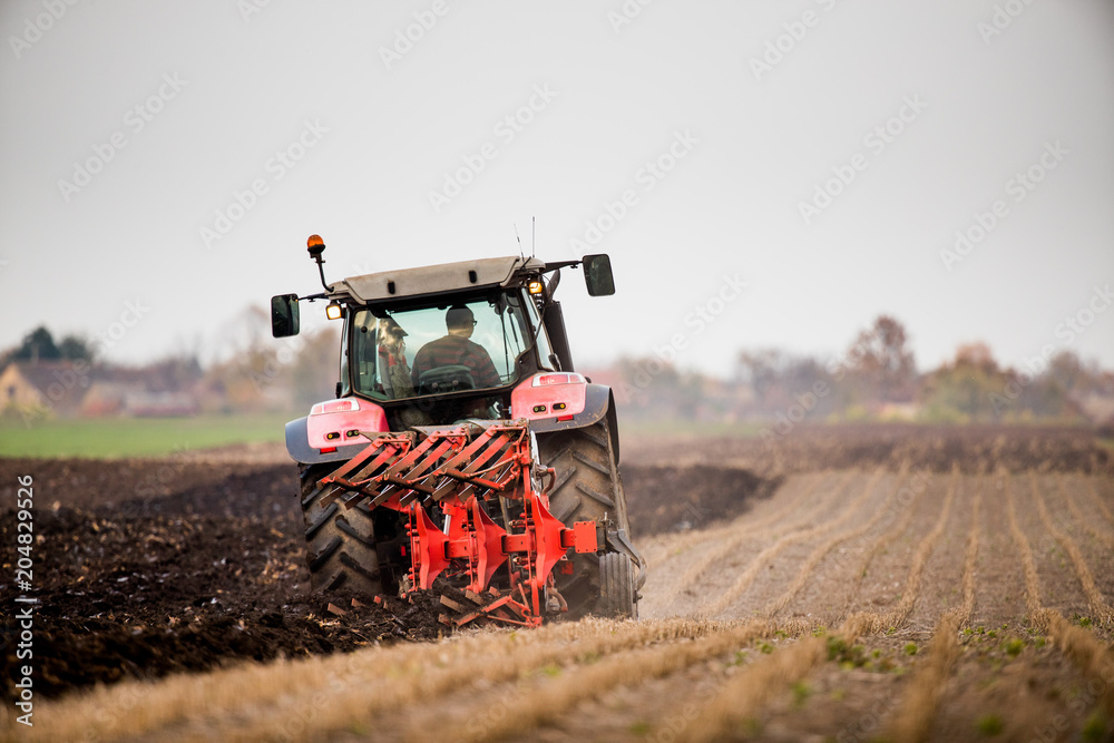Fototapeta premium Farmer plowing stubble field