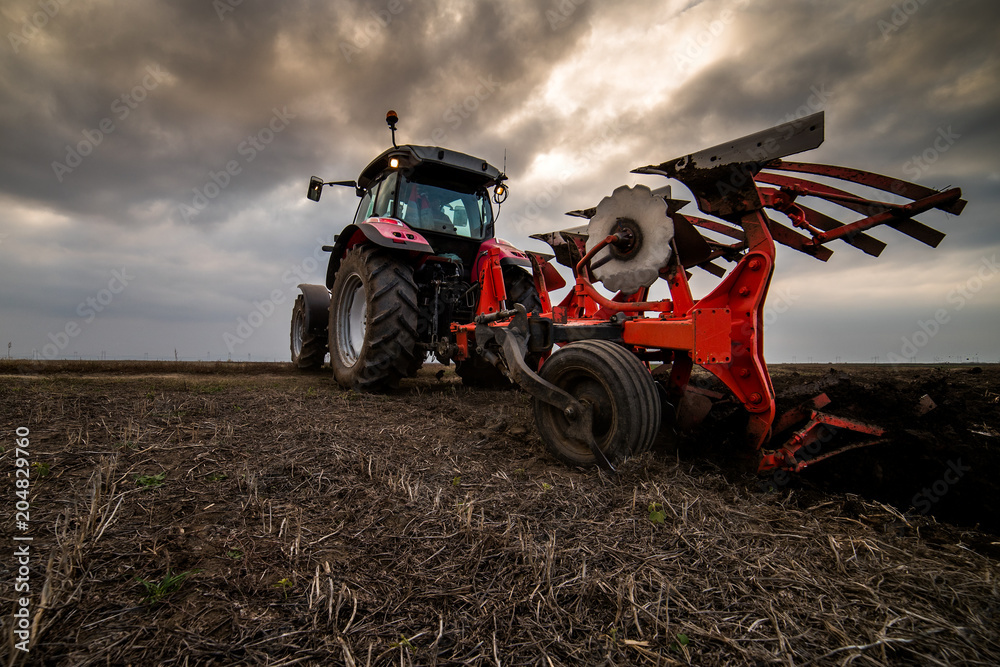 Fototapeta premium Farmer plowing stubble field