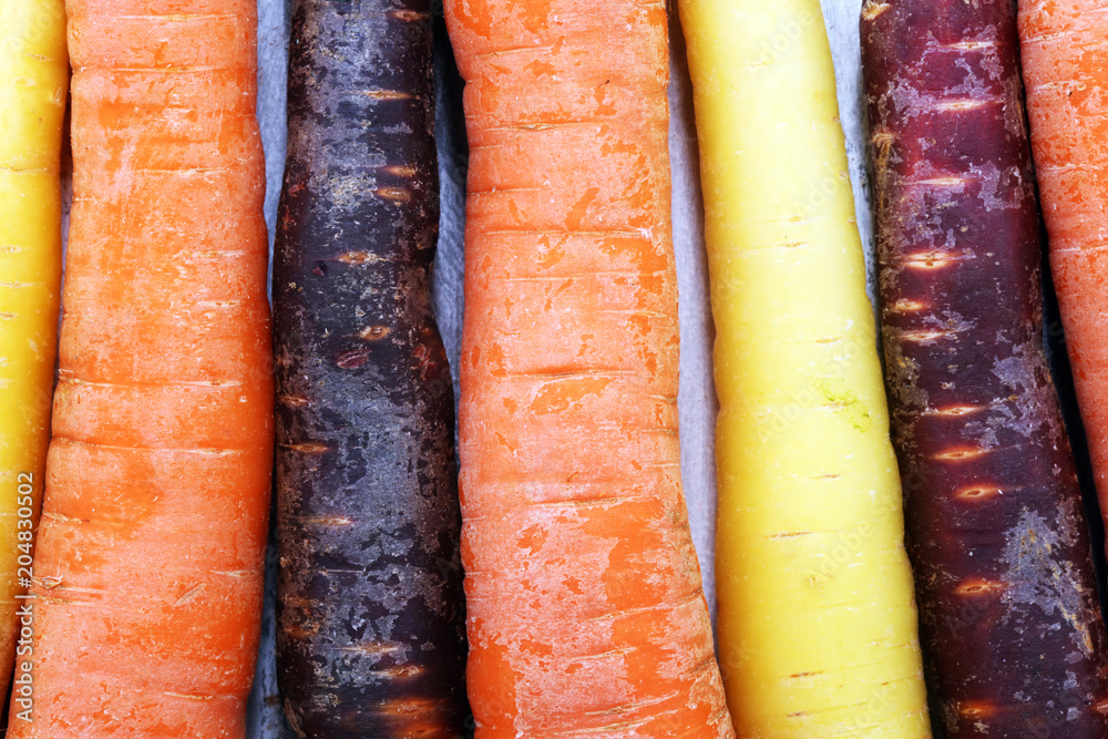 pile of carrots. Crate of mixed fresh harvested colorful carrot. pile of carrots. Crate of mixed fresh harvested colorful carrot.