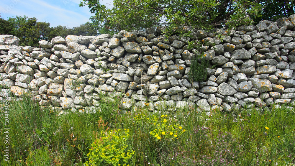 Provence, Frankreich: Feldmauer und Wiese