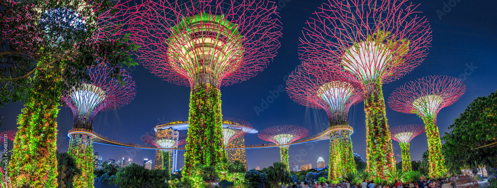 Naklejka premium Panorama ogrody zatoką z kolorowym oświetleniem przy błękitną godziną w Singapur, Azja Południowo-Wschodnia. Popularna atrakcja turystyczna w rejonie zatoki mariny.