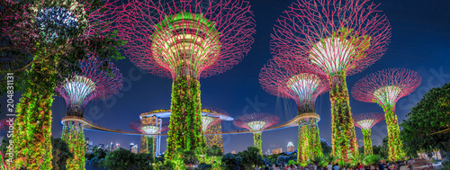 Fotografia, Obraz Panorama of Gardens by the Bay with colorful lighting at blue hour in Singapore, Southeast Asia