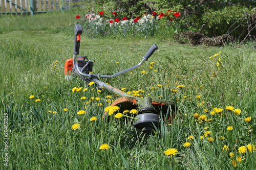 The trimmer for grass cutting lies on the bright green grass and yellow dandelions in the garden.