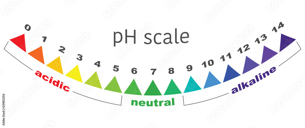 scale of ph value for acid and alkaline solutions, infographic acid ...