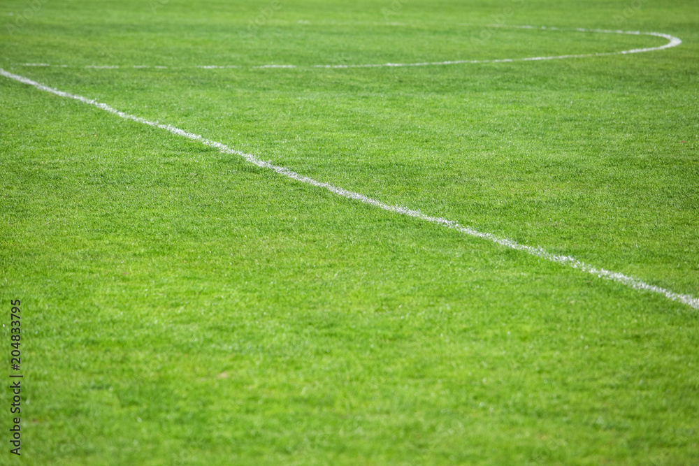 Obraz premium marking on the football field, background texture