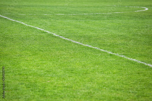 marking on the football field, background texture