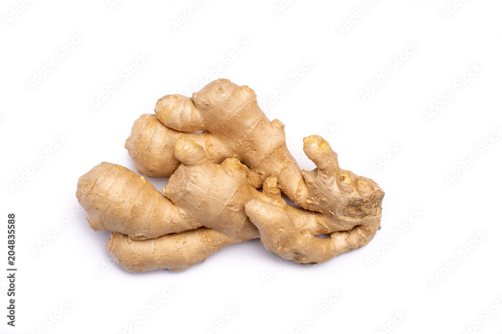 Fresh big ginger root close up copy space isolated on white background Fresh big ginger root close up copy space isolated on white background