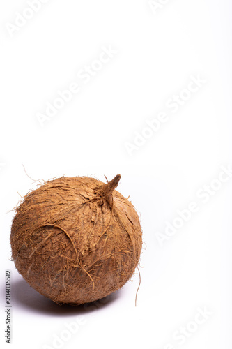 One big brown whole coconut close up copy space isolated on white background