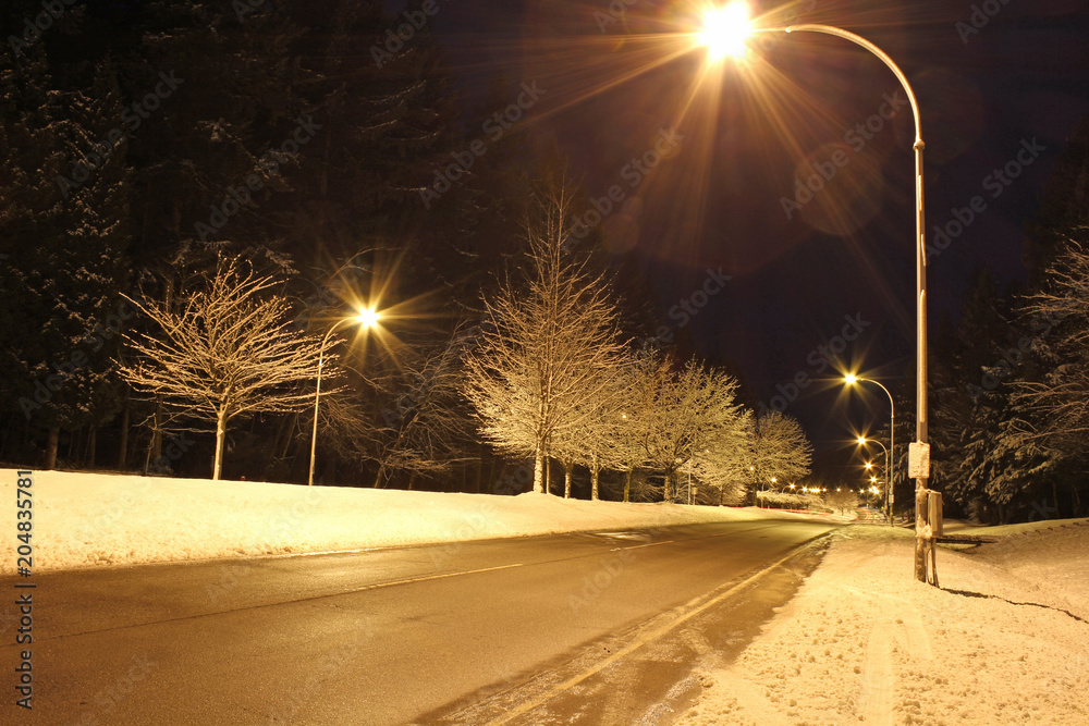 A winter road at night with snow covered trees and street lights.