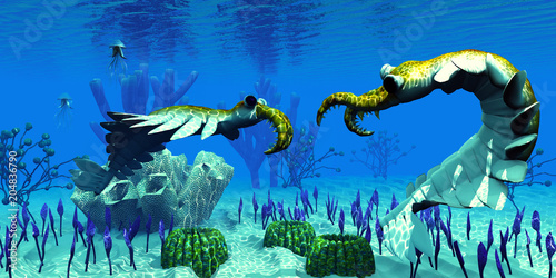 Anomalocaris in Cambrian Seas - Two predatory Anomalocaris invertebrates have a dispute over territorial rights over an ocean reef in Cambrian Seas. photo