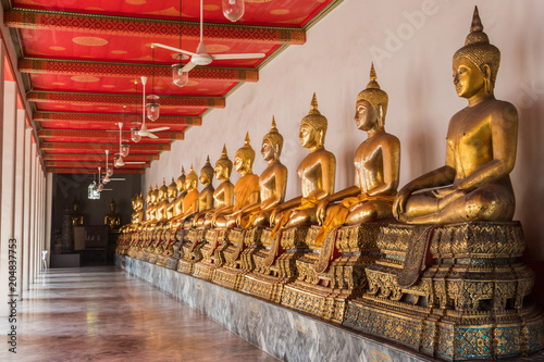 Gallery of buddhas city of bangkok thailand