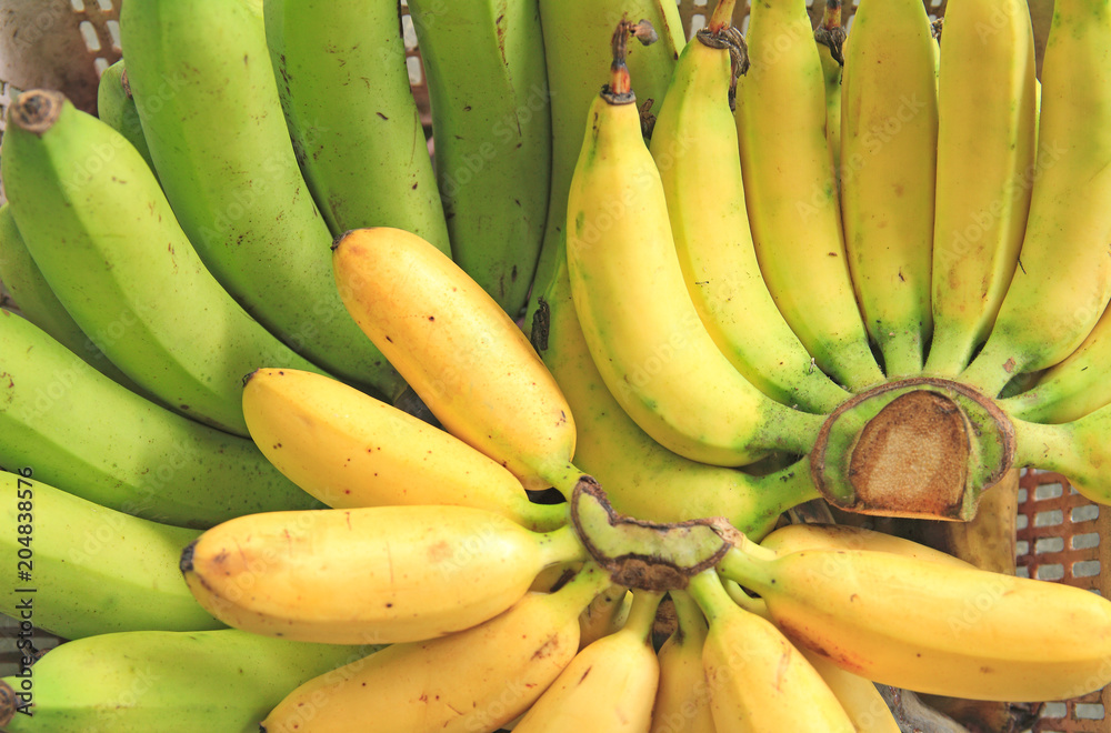 Banana ripen in groups on the table background