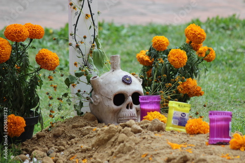 Festejando la muerte