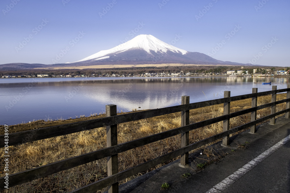 Morning life around Yamana lake // Mt.Fuji Japan