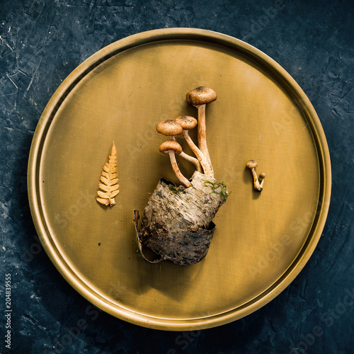 Photos Decorative composition of mushrooms, birch bark and forest leaves on a copper plate