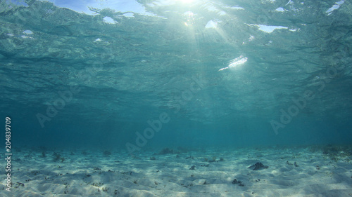 Underwater blue ocean background 