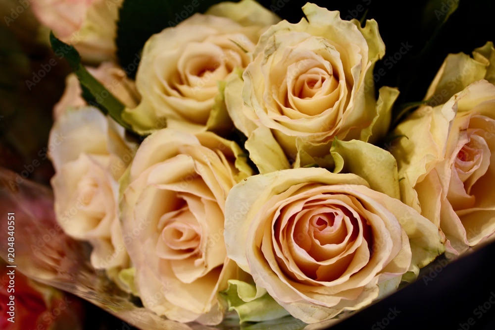 バラの花束　パリの花屋