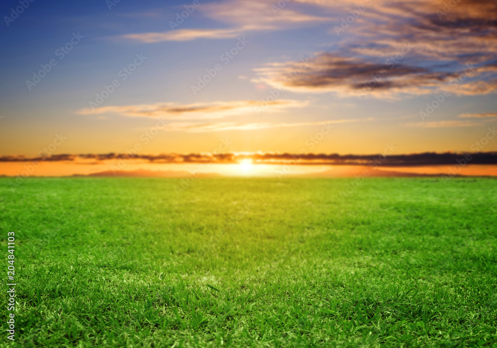 Green grass field under sunset sky in summer