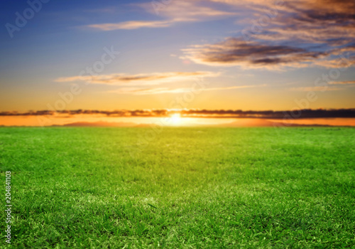Green grass field under sunset sky in summer