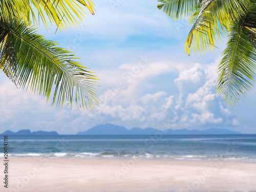 Palm leaves on summer beach background.